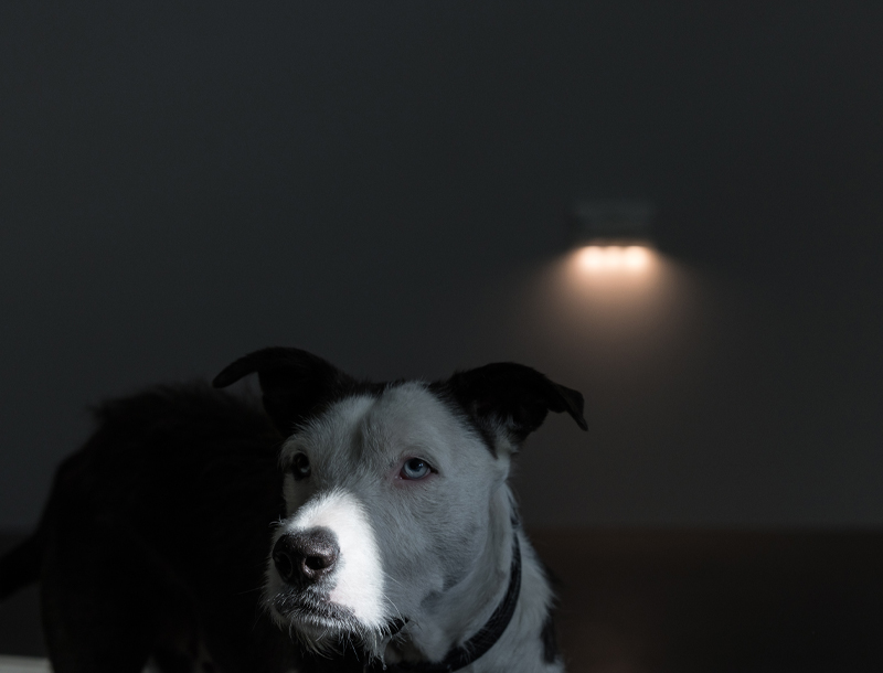 Coast W2 Wall Light