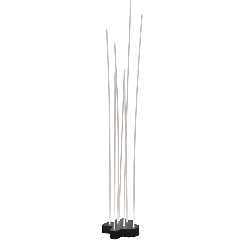 Reeds