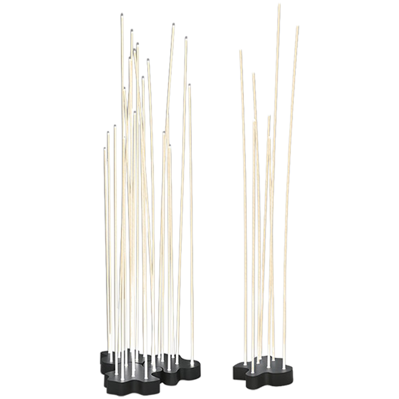 Reeds - undefined undefined 