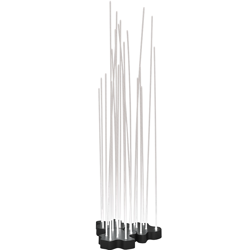 Reeds - undefined undefined 